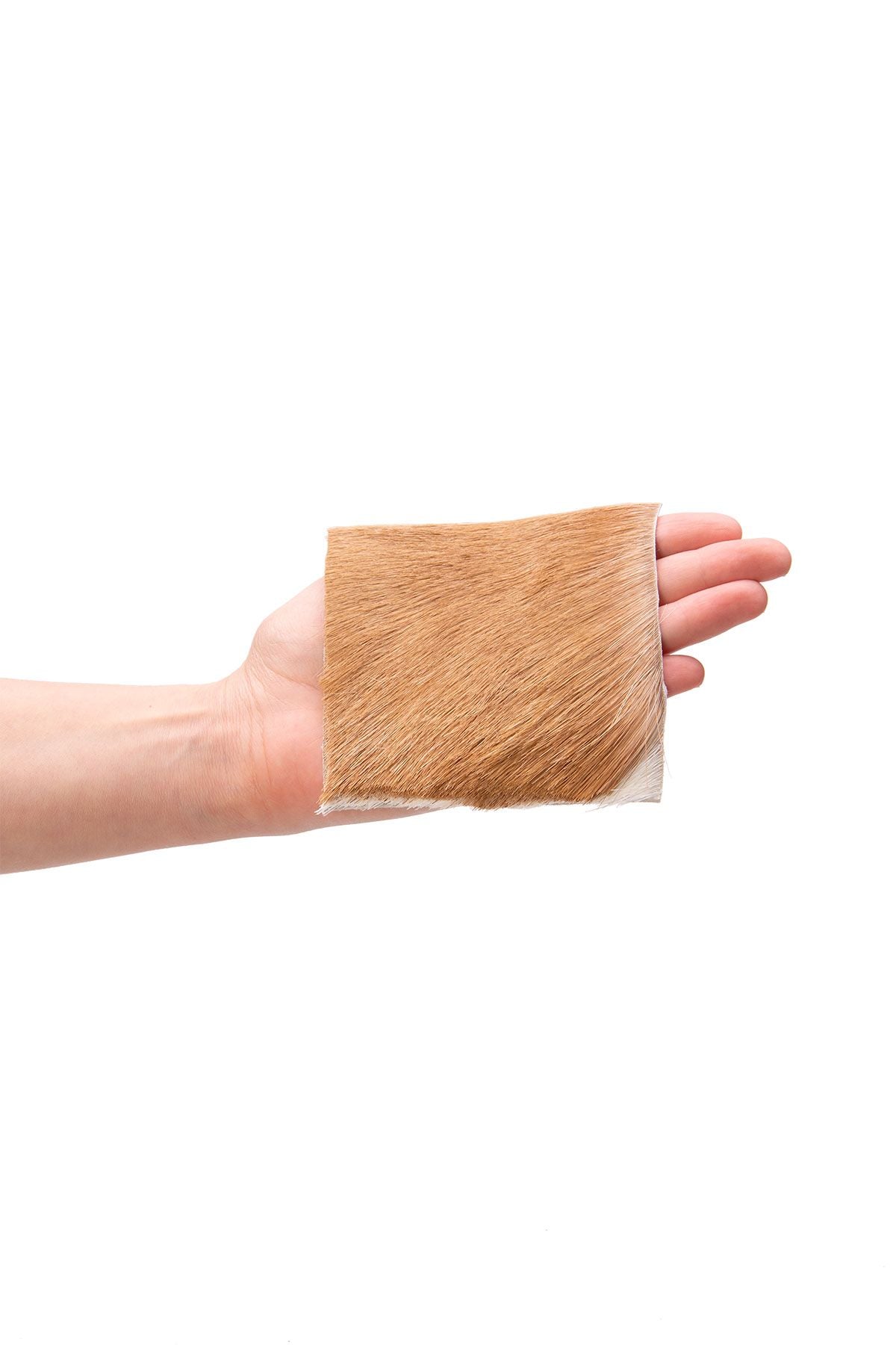 Hakiki Tüylü Ceylan Derisi Parça 10x10 cm CYL020 Naturel