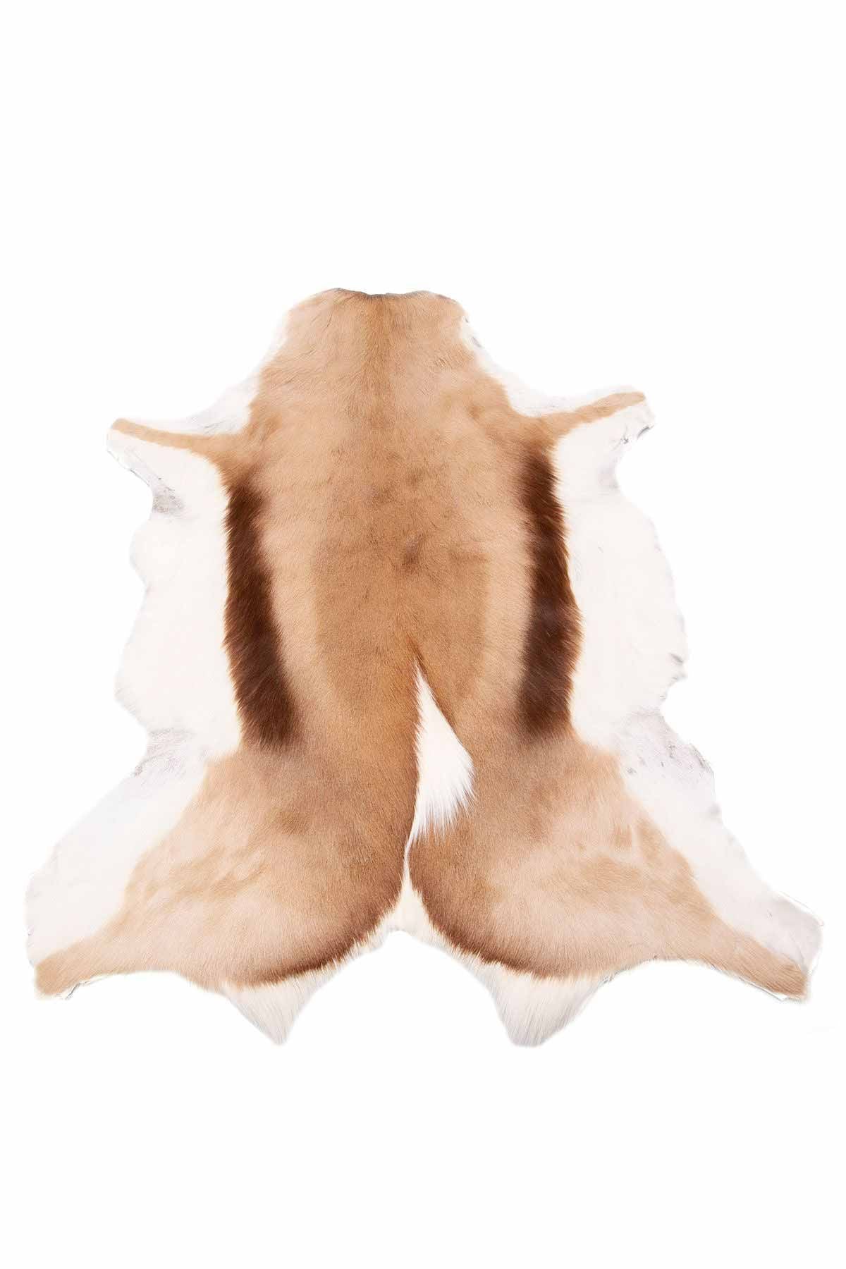 Hakiki Tüylü Ceylan Derisi CYL009 Naturel