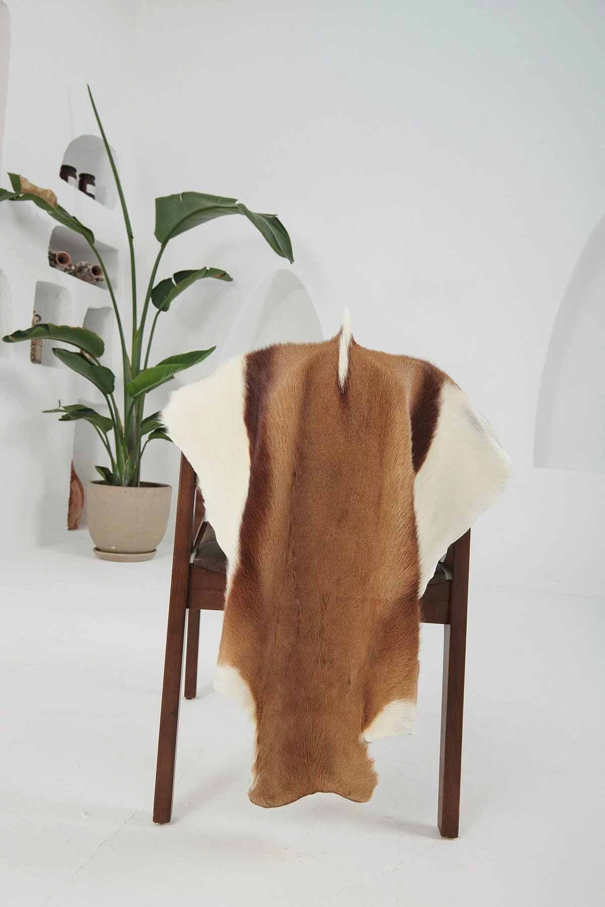 Hakiki Tüylü Ceylan Derisi CYL009 Naturel