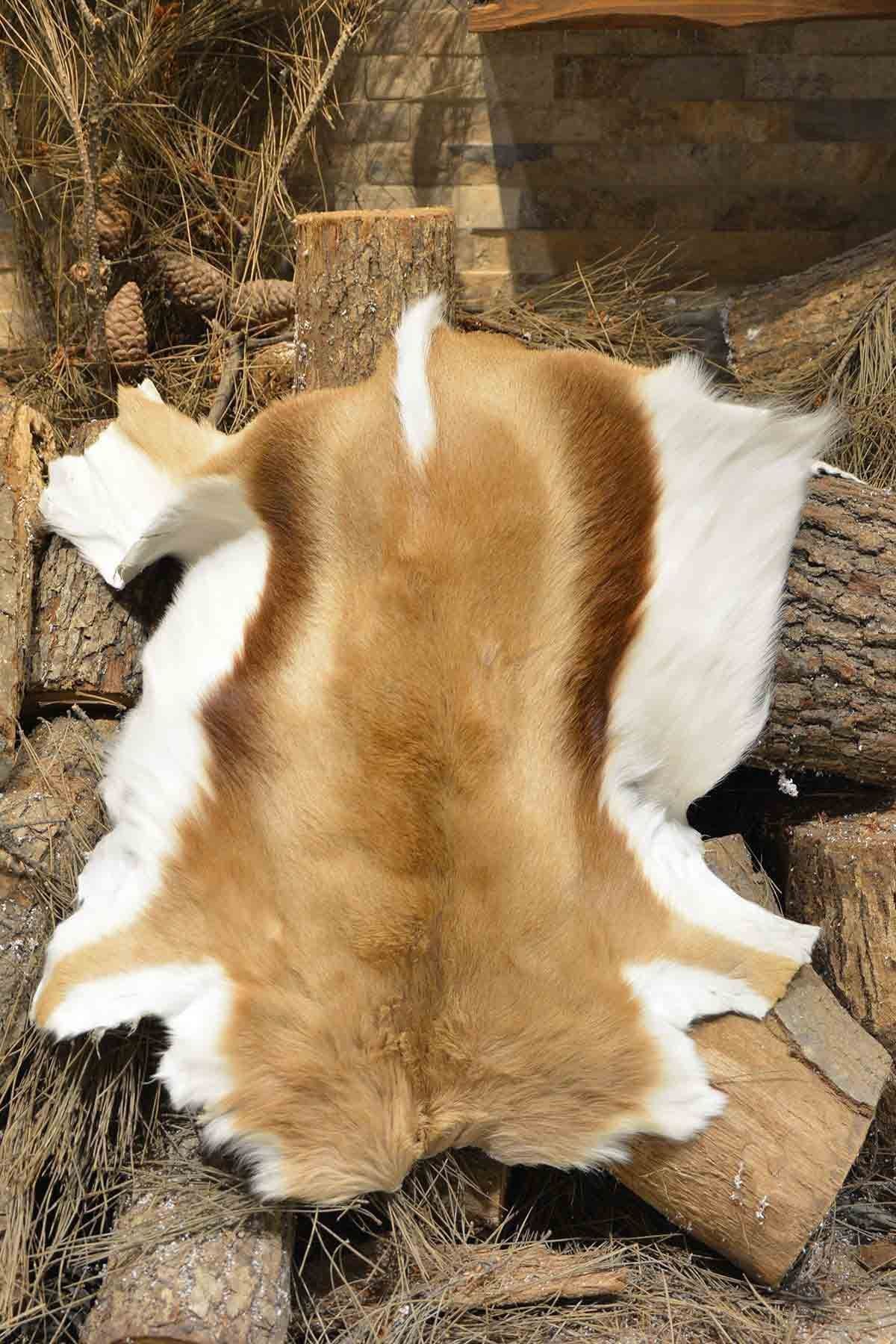 Hakiki Tüylü Ceylan Derisi CYL009 Naturel