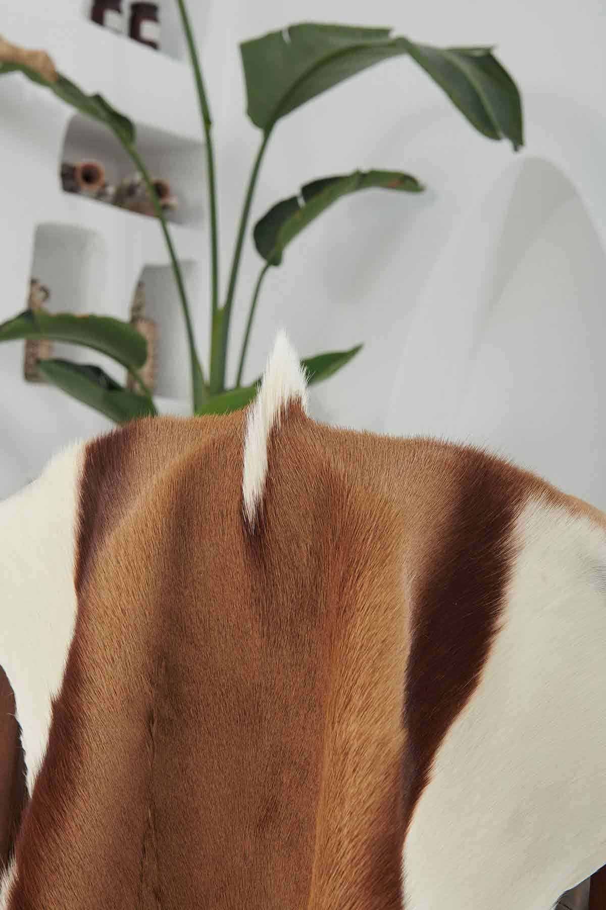 Hakiki Tüylü Ceylan Derisi CYL009 Naturel