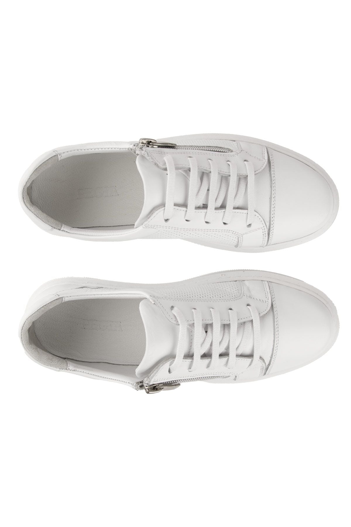 Kadın Deri Sneakers DG6024 Beyaz